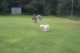 Thumbs/tn_Img_2559.jpg