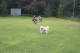 Thumbs/tn_Img_2560.jpg