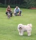 Thumbs/tn_Img_2561.jpg