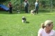 Thumbs/tn_Img_2567.jpg