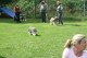 Thumbs/tn_Img_2570.jpg