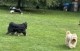 Thumbs/tn_IMG_9501.jpg