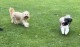 Thumbs/tn_IMG_9515.jpg