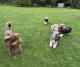 Thumbs/tn_IMG_9519.jpg