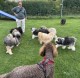 Thumbs/tn_IMG_9523.jpg