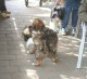 Thumbs/tn_Img_3254.jpg