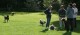 Thumbs/tn_Img_3256.jpg