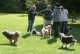 Thumbs/tn_Img_3257.jpg